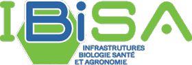 Logo de l'IBiSA